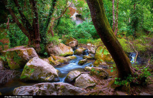 Salvare la natura assicura una vita più pura