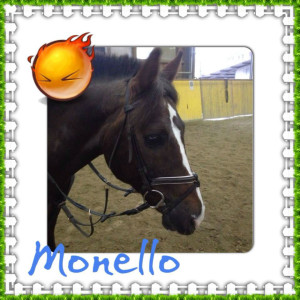 Monello